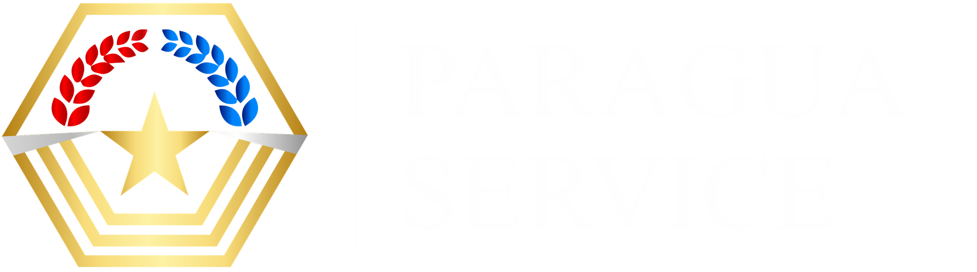 Paraguay Service Portal