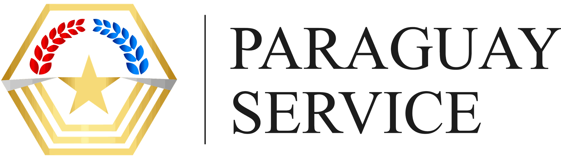 Paraguay Service Portal
